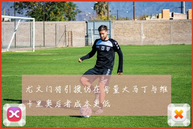尤文门将引援仍在考量大马丁与维卡里奥后者成本更低
