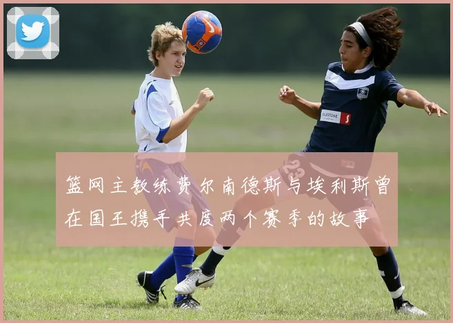 篮网主教练费尔南德斯与埃利斯曾在国王携手共度两个赛季的故事